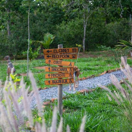 Hotel Nativo Glamping Barichara Exterior foto