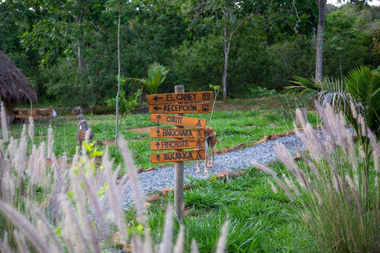 Hotel Nativo Glamping Barichara Exterior foto